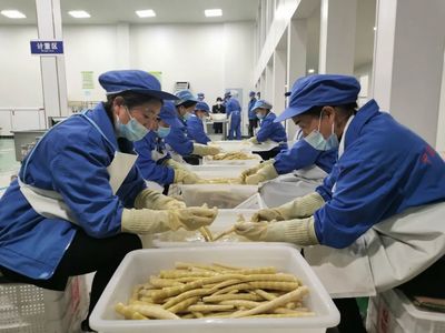 桐梓 龍頭企業(yè)帶動方竹筍精深加工，助推食品產業(yè)高質量發(fā)展