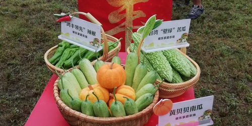 桐鄉(xiāng)十大市民最喜愛農(nóng)產(chǎn)品評(píng)選活動(dòng)火熱開啟，投票參與贏好禮！