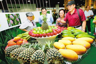 臺(tái)灣優(yōu)質(zhì)農(nóng)產(chǎn)品在上海展覽中的魅力與展望